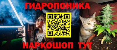 прущие крисы Владимир