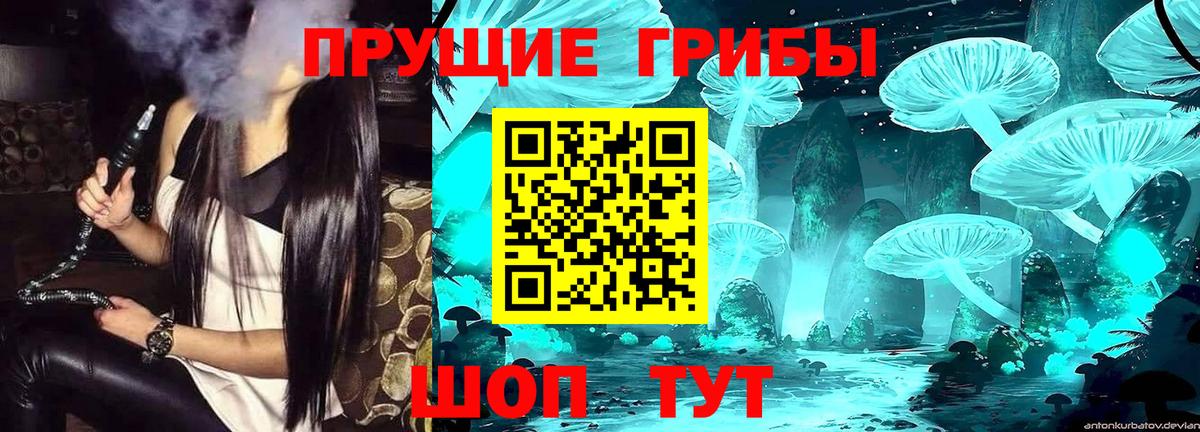 Воскресенск  Псилоцибиновые грибы мухоморы  Вход с VPN 
